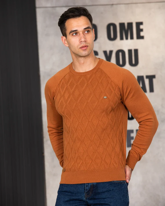 Herren Pullover mit Karomuster V2